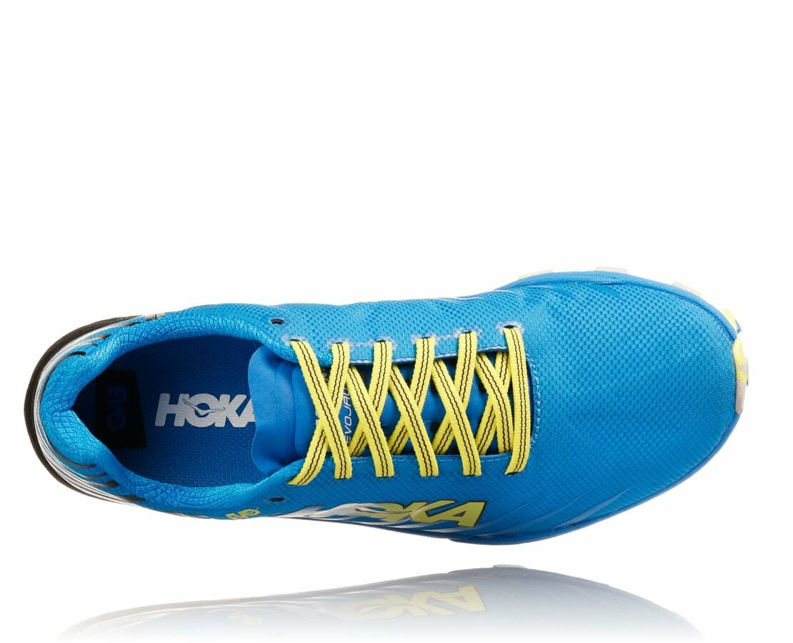 Women's EVO Jawz Cyan / Citrus