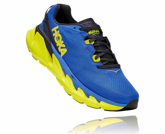 Men's Elevon 2 Amparo Blue / Evening Primrose